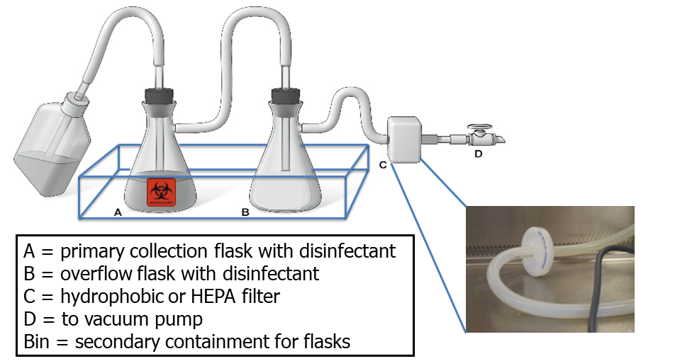 Image showing proper set up of a vacuum aspiration flask