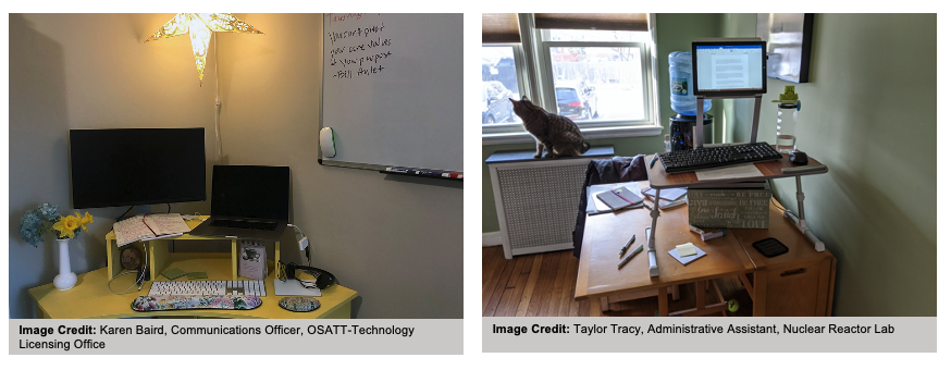 Photos of two workstations from MIT community members who are working from home. 